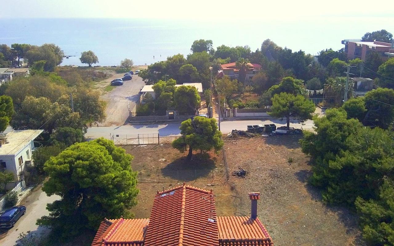 Augoustinos - Sea Side Luxury Apartments Артемида Екстериор снимка